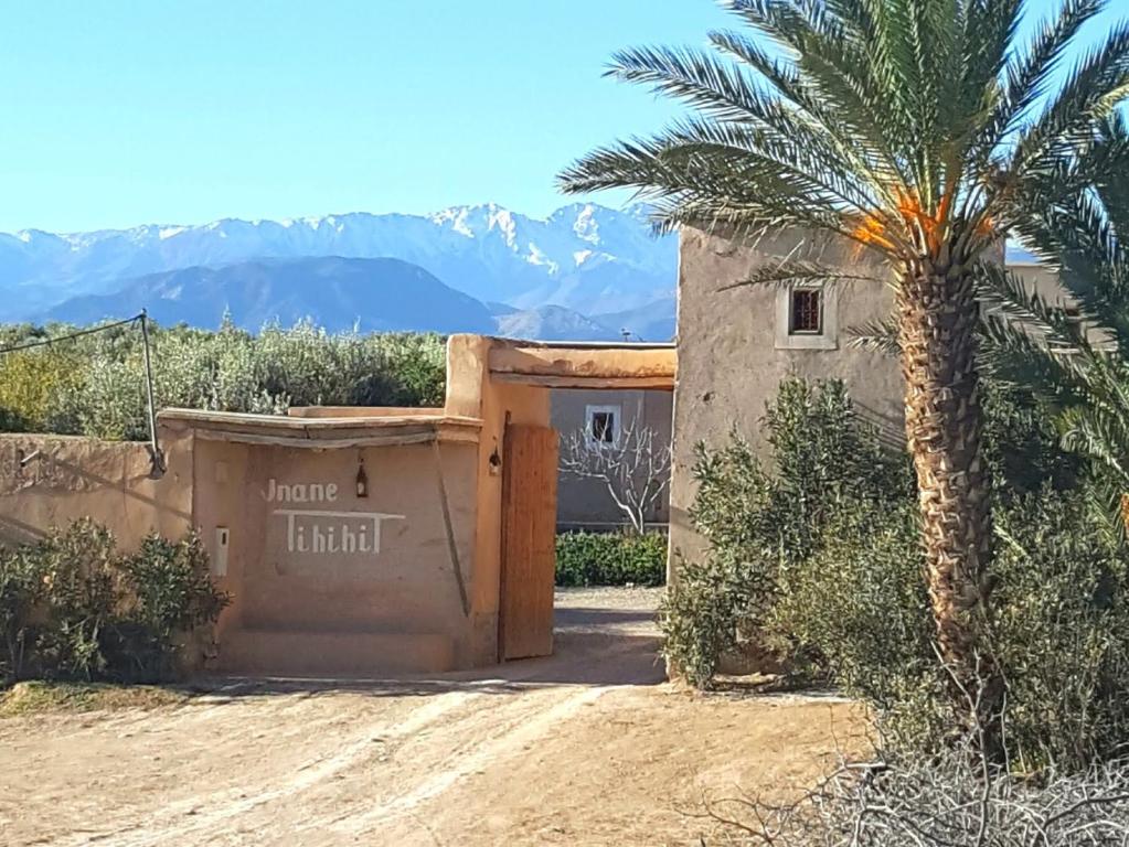 拉拉塔可库斯特珍内蒂希特住宿加早餐旅馆的沙漠中的一座房子,前面有一棵棕榈树