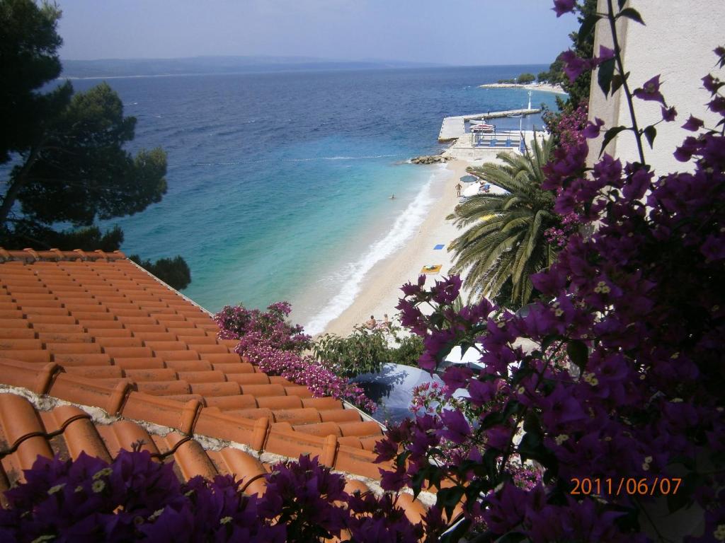 布雷拉海景公寓的紫色鲜花,享有海滩和大海的景色