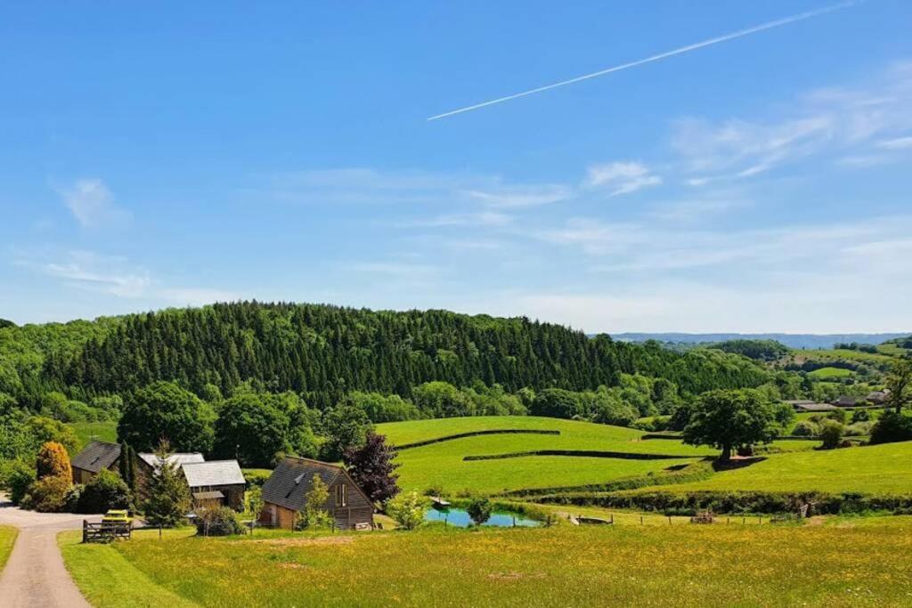 LlanfaenorCae Hedd Holiday Cottages in the heart of Monmouthshire的享有绿地、树木和道路的景色