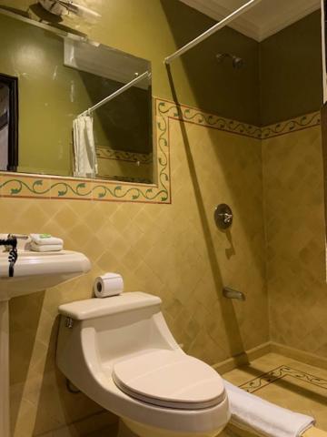 阿拉胡埃拉Hotel 1915 INN & SUITES的带淋浴、卫生间和盥洗盆的浴室