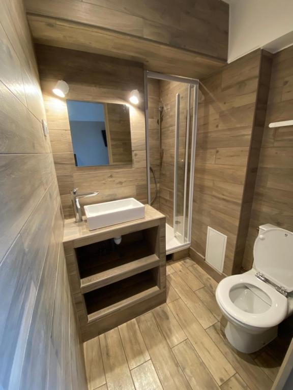 巴黎萨瓦包尔别墅的一间带水槽和卫生间的浴室