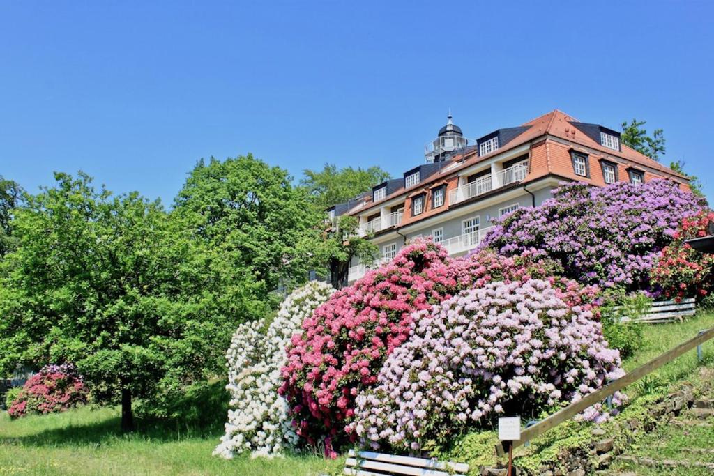 德累斯顿Ferienwohnung Natur und Kunst的一座大建筑前面有鲜花