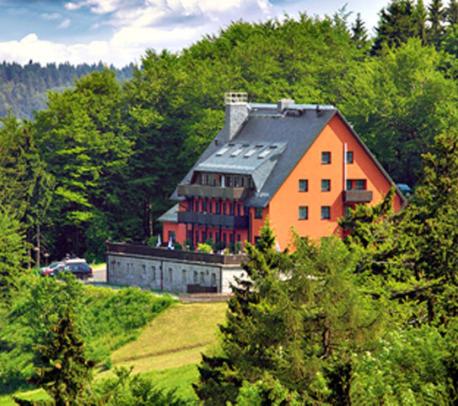 瓦尔特尔斯多夫Hubertusbaude的一座橘色房子,位于一座树木繁茂的山顶上