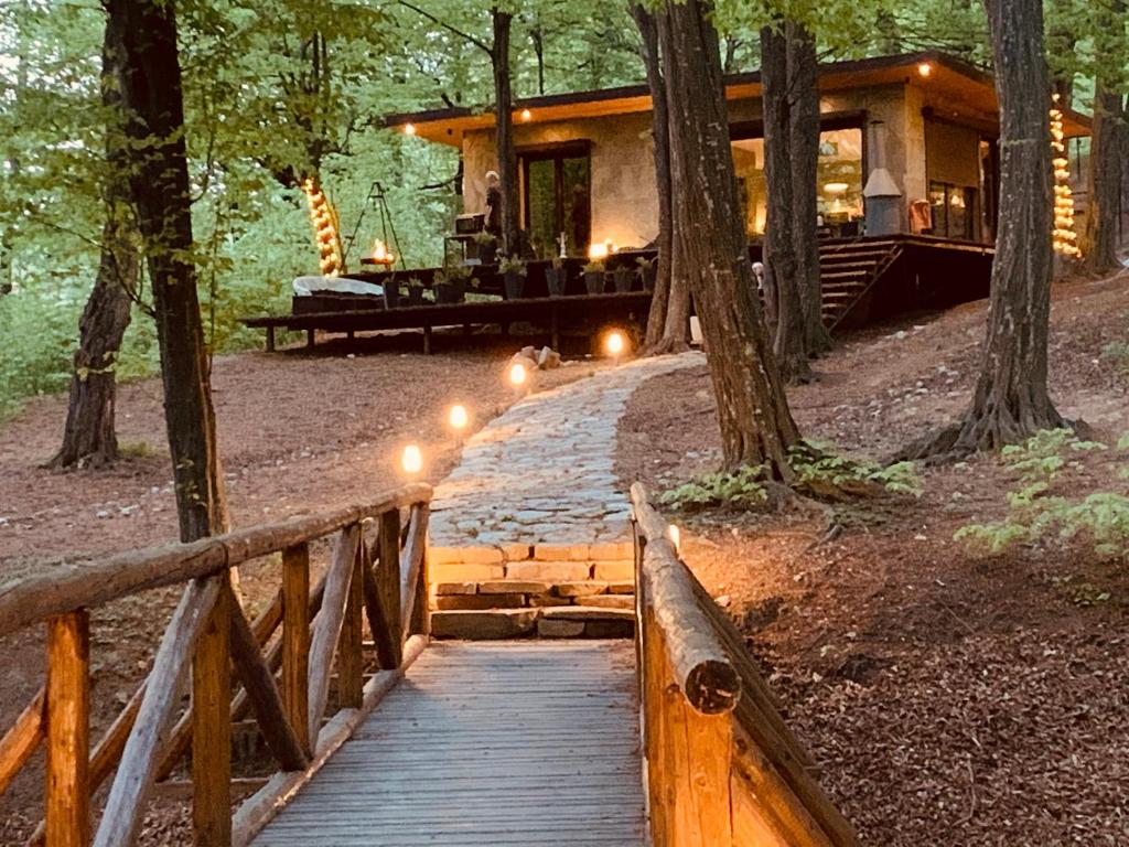 TeşilaLuxury Lake House & Glamping的树林中的房屋,有一条通往房屋的木道