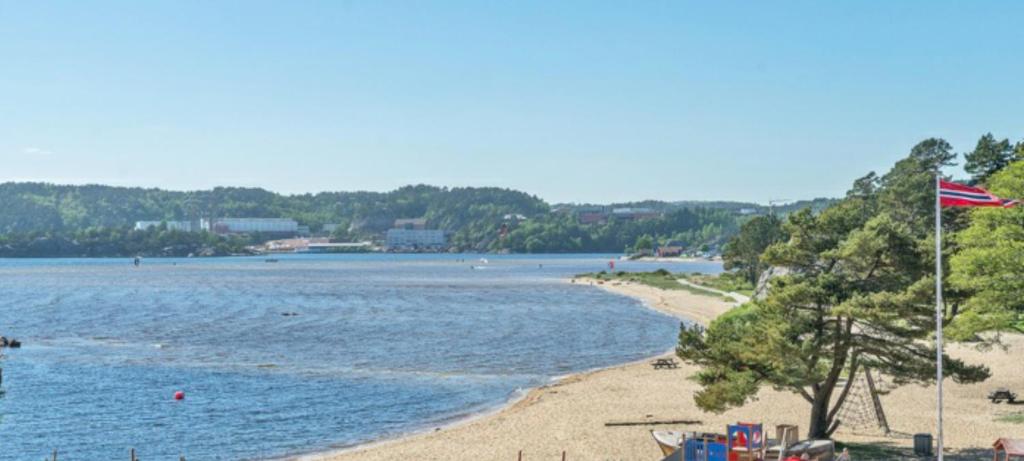 克里斯蒂安桑Hytte med 4 Soverom的享有带国旗的海滩和大海的景致