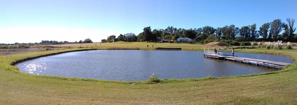 维多利亚Campo & Golf的田间中带码头的池塘