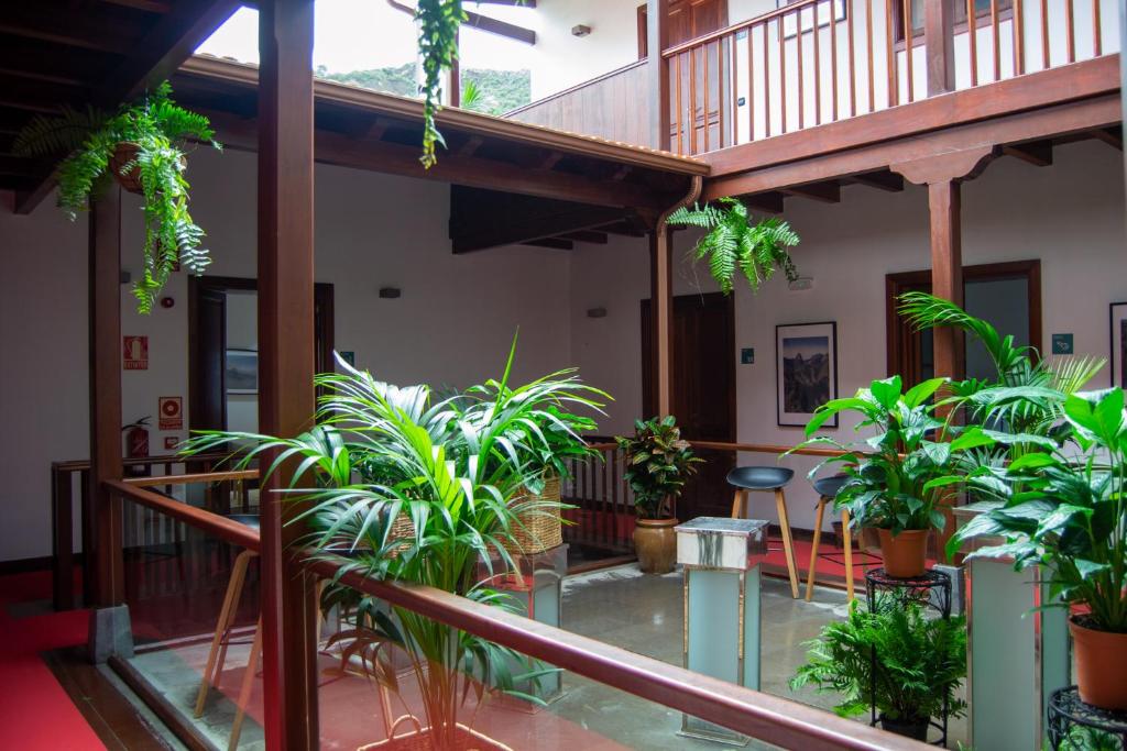 埃尔米瓜Hotel Escuela Rural Casa Los Herrera的一间种植了大量植物的客房和一个阳台