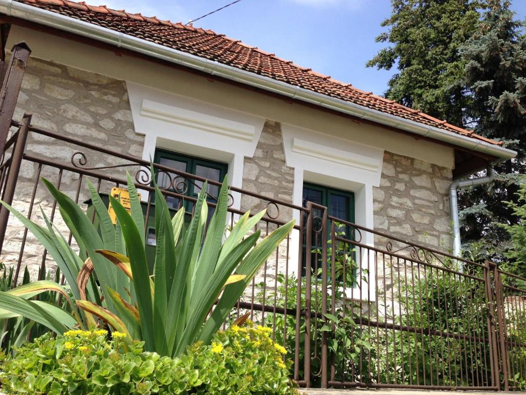 Tolcsva兹罗卡温德加斯公寓的一座有门和植物的房子