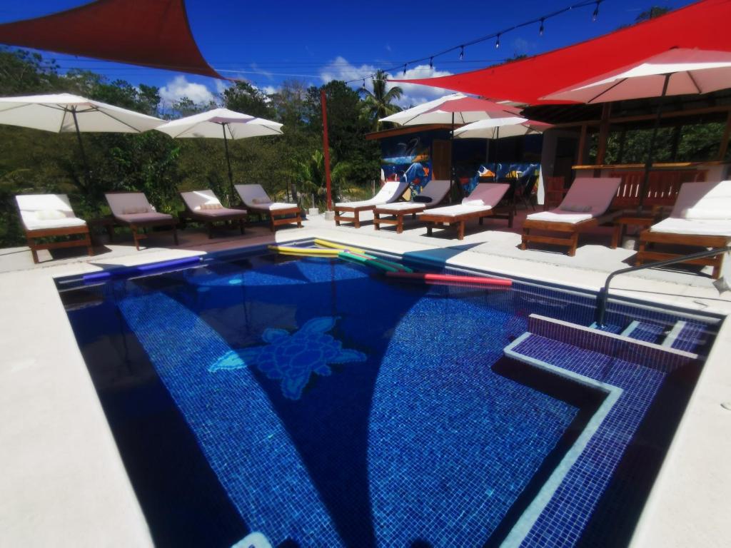 萨玛拉Tuki Tuki Lodge的度假村内带椅子和遮阳伞的游泳池