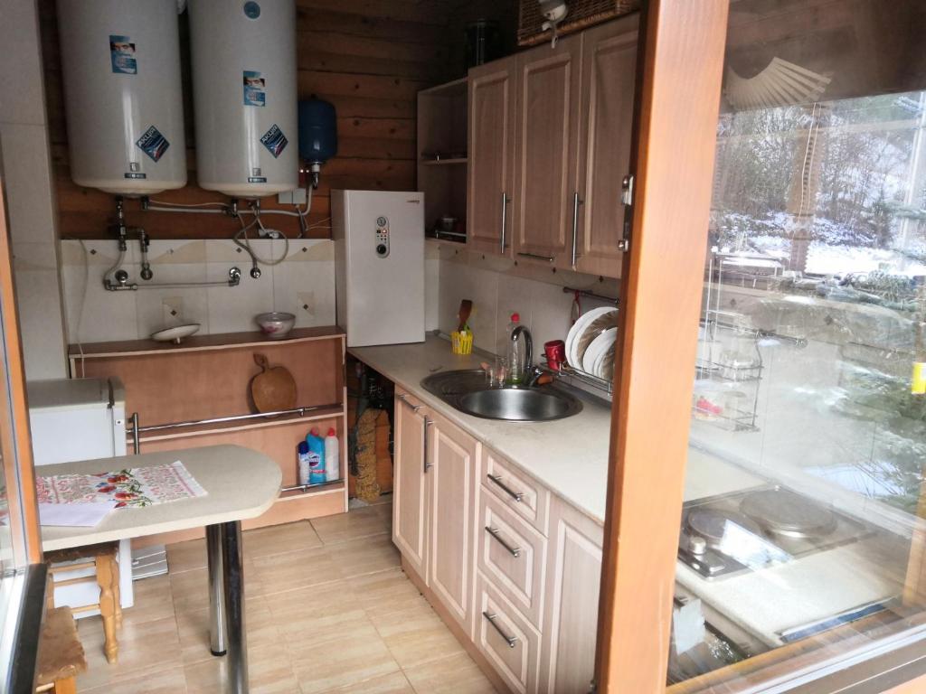 Dolishniy ShepitЕко садиба в Карпатах Лостун的一间带水槽和冰箱的小厨房