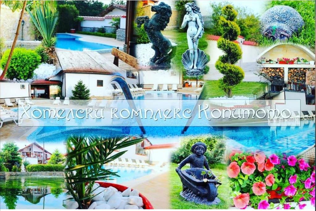 TamarinoХотелски Комплекс Копитото的喷泉和游泳池图片的拼合
