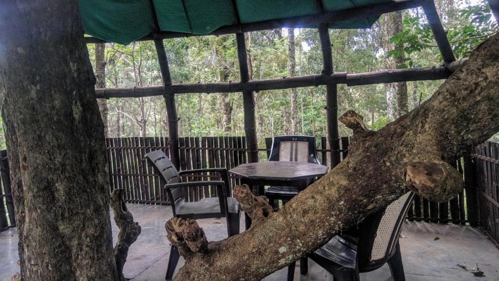 蒙纳Jungle Jive Tree House Munnar的一张桌子和椅子,上面有大树干