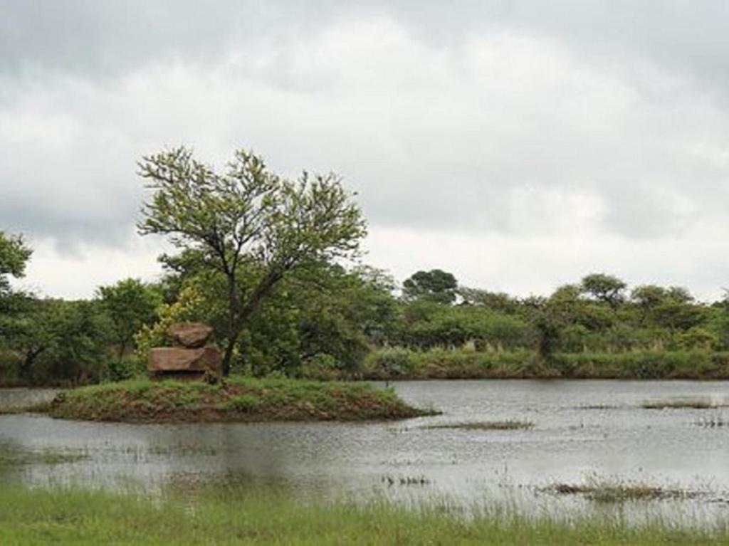 HammanskraalMorekuri Safaris的水体中间的小岛