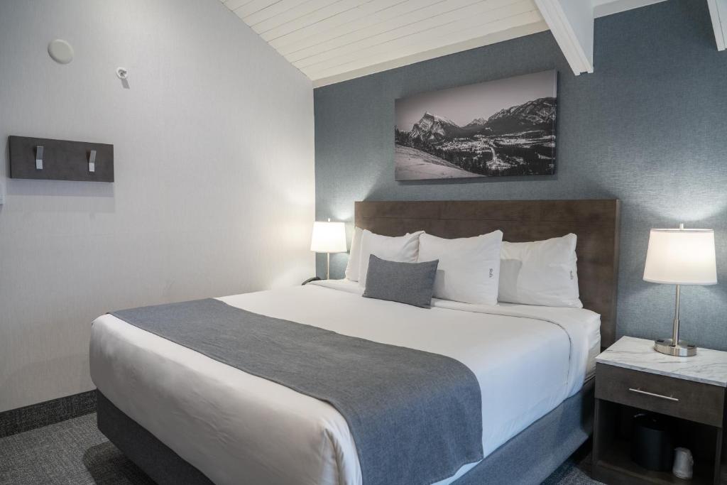 班夫红毯套房旅馆的酒店客房设有一张大床和两盏灯。
