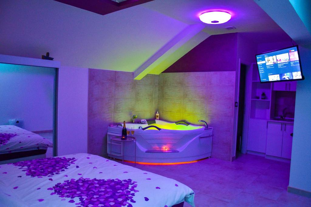 帕拉钦Apartmani Tajna的一间带浴缸、一张床和电视的卧室
