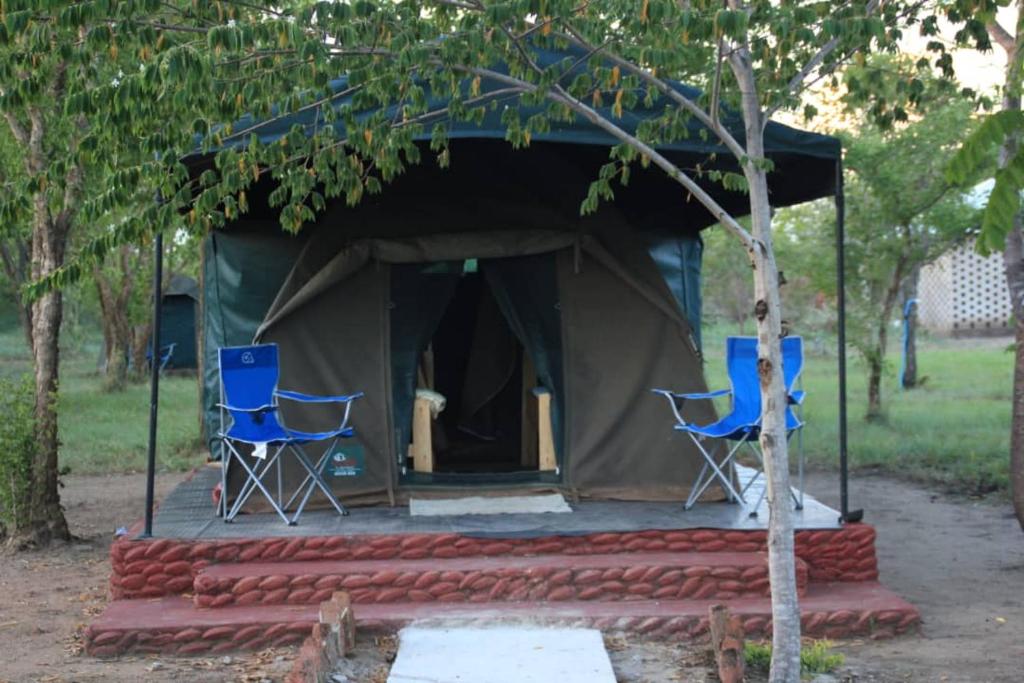 莫罗戈罗Mikumi Faru Tented Camp的两把蓝色椅子坐在帐篷前