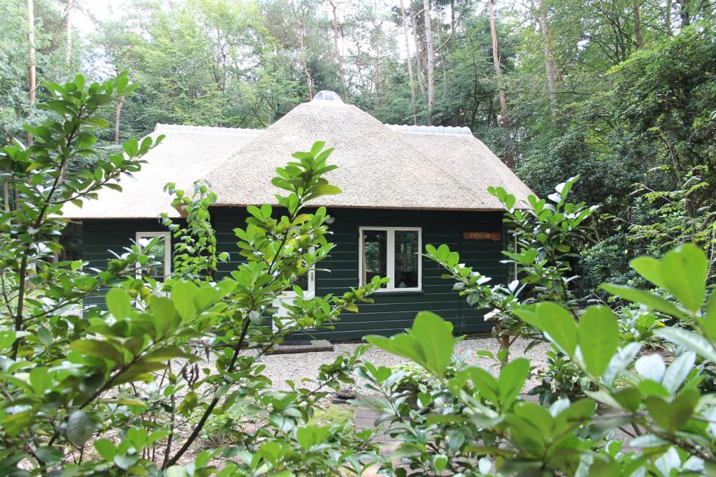 伊皮麻雀度假屋的树林中的黑色小屋
