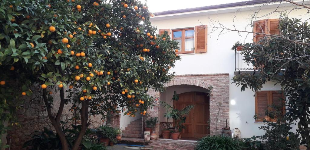 伊格莱西亚斯L'arancio Antico的房子前面的橘子树