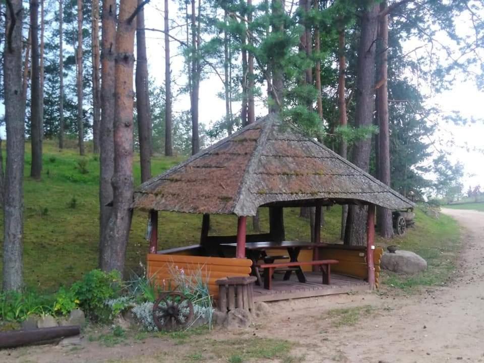 BaltriškėsKaimo turizmo sodyba Stromelė的凉亭,在树林里设有野餐桌