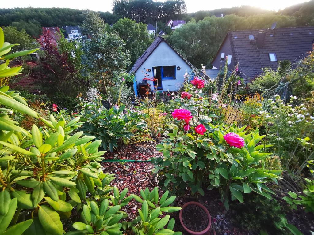 HemerFerienhaus mit riesen Garten, drei Terrassen, toller Aussicht am Waldrand, auch als Monteur-Wohnung的鲜花盛开的花园,后方的房子