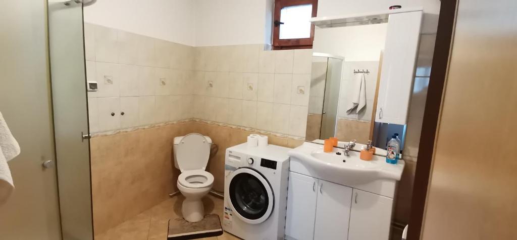 瑟切莱Casa Sara的一间带洗衣机和水槽的浴室