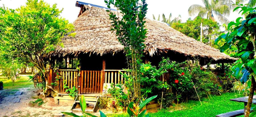 莱蒂西亚Bungalow In The Jungle -Ecolodge HUITOTO的茅草屋顶和树木的小小屋