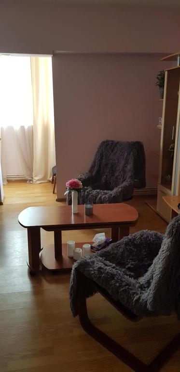 布拉索夫Studio Monique的客厅配有咖啡桌和沙发