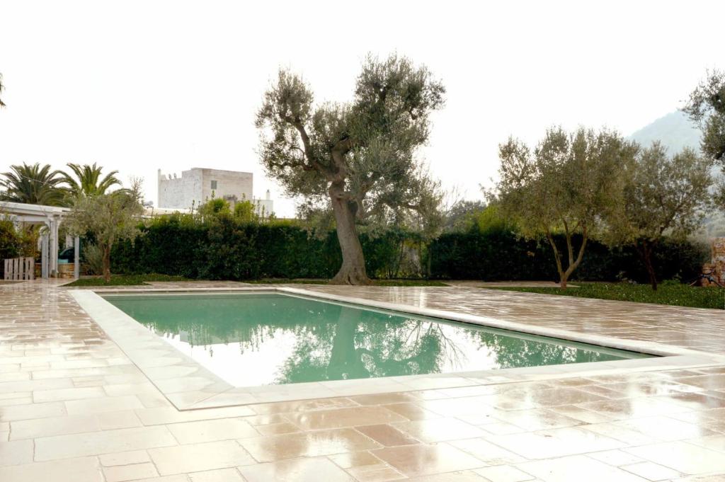 法萨诺Masseria Fragnale的树荫庭院中的游泳池