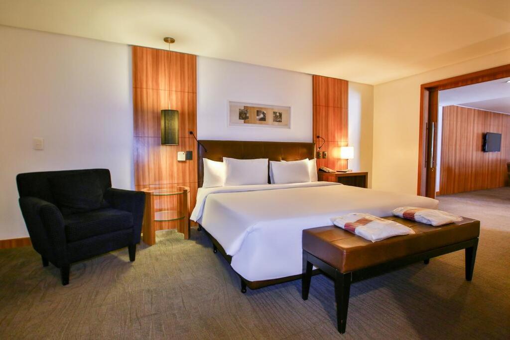 戈亚尼亚Oft Alfre hotels - Goiânia的配有一张床和一把椅子的酒店客房