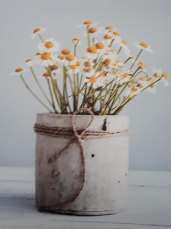 比克Kamilla Apartman Villapark的白色花瓶,花朵花