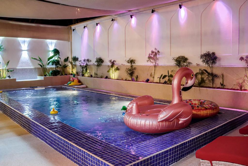 沙迦Staycation Home Shj的中间的游泳池,游泳池有粉红色的火烈鸟