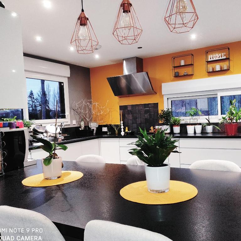 DhuizonLa maison écolo de Nono的厨房设有黄色的墙壁和种有植物的黑色桌子