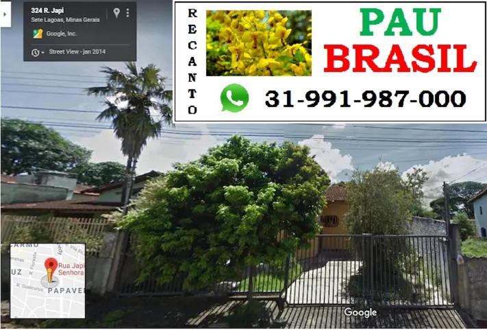 塞蒂拉瓜斯Recanto Pau Brasil的一张房子的照片,房子里有一棵栅栏和一棵树
