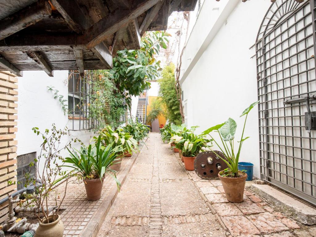 埃希哈Hostal Santiago的楼里种有盆栽植物的小巷
