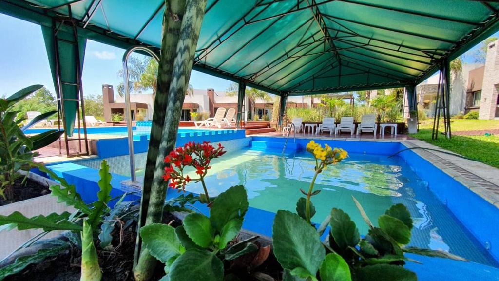 康考迪亚Amanzi Termal Rental的蓝色屋顶房屋内的游泳池