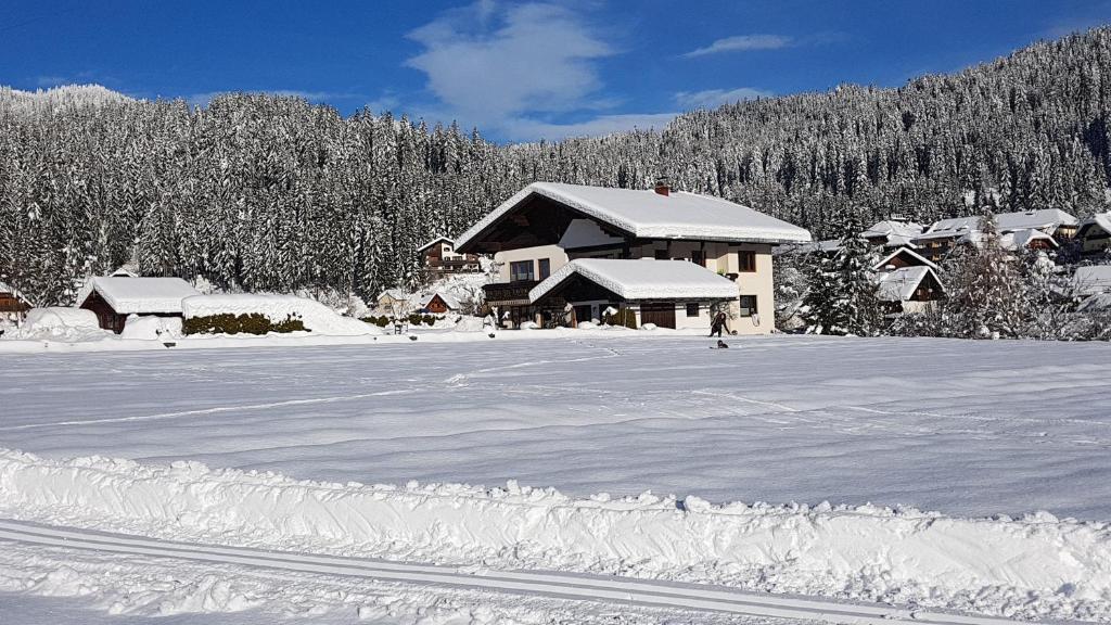 魏斯布里阿赫Berghaus Weissbriach的一个人在雪覆盖的田野上滑雪