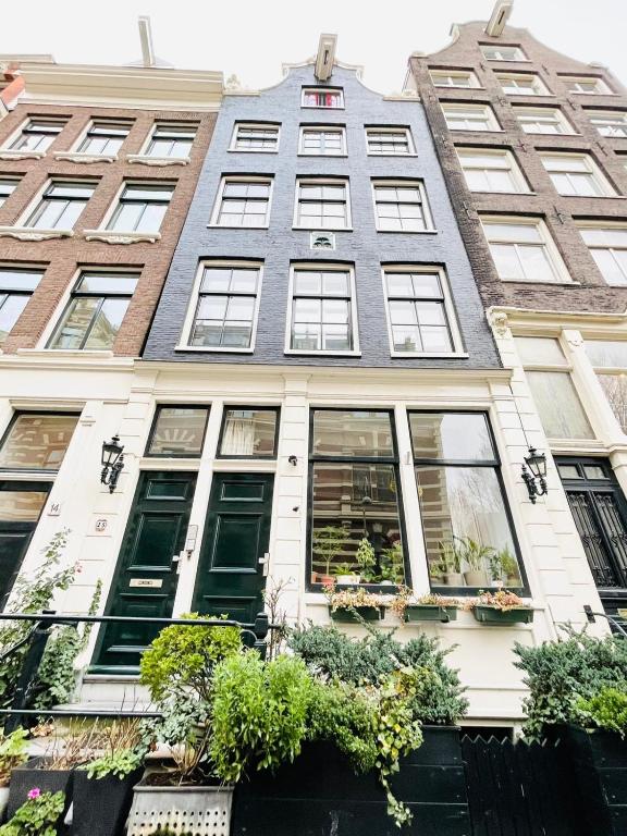 阿姆斯特丹Aris Amsterdam的前面有窗户和植物的建筑