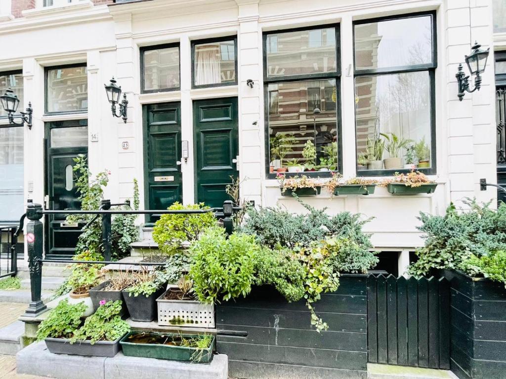Aris Amsterdam外面的花园