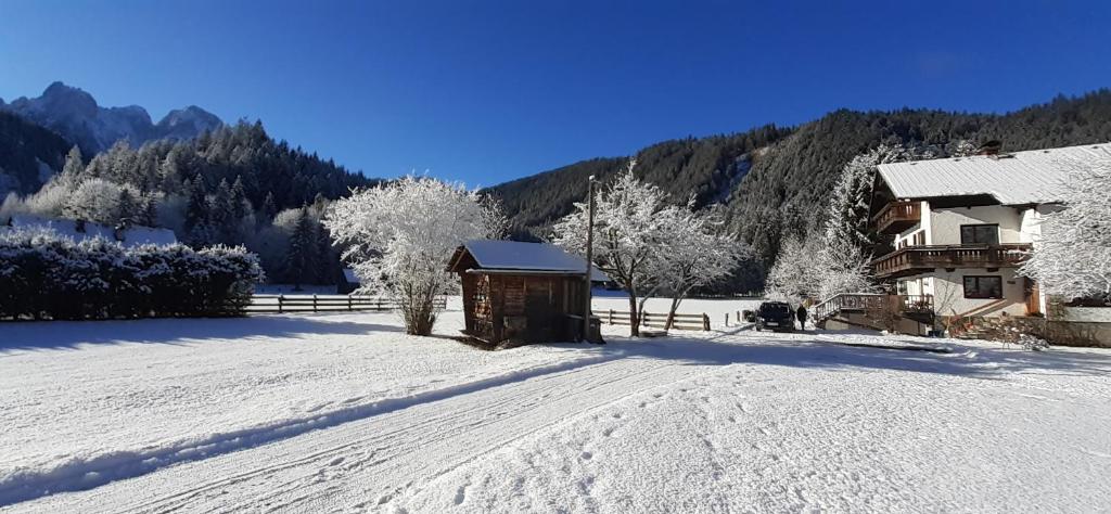 格绍Ferienwohnung Peter Egger的一座有房子和建筑物的雪盖庭院