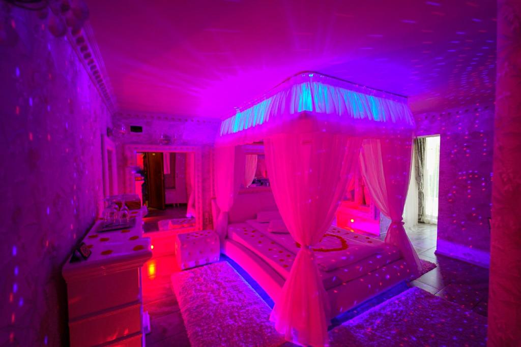 布拉索夫Anadi Hotel Boutique的紫色客房,配有带天蓬的床