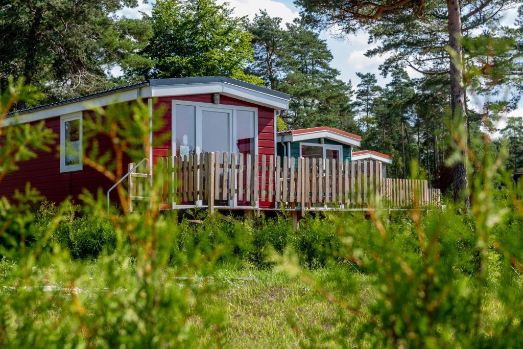 索尔陶Naturcamping Lüneburger Heide - Chalets & Tiny Häuser的草上有栅栏的红色房子