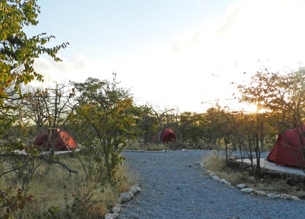 奥考奎约Etosha Village Campsite的砾石路中间的一组帐篷