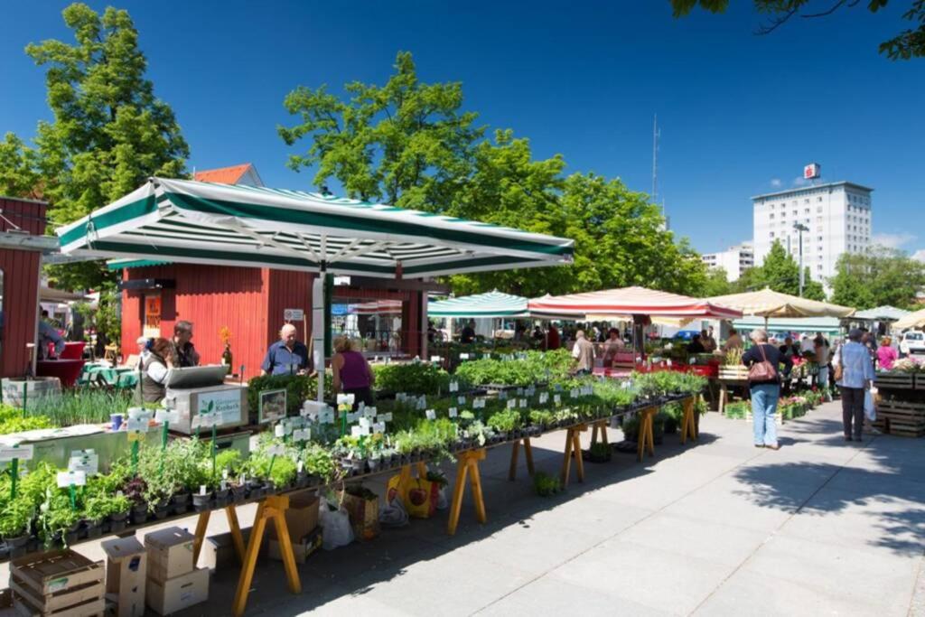 格拉茨Stylisches Innenstadtappartement的农贸市场,农贸市场中放满了植物