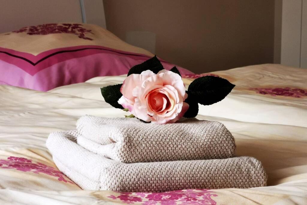 海罗德堡Willi´s Ferienwohnung的床上一叠带玫瑰的毛巾