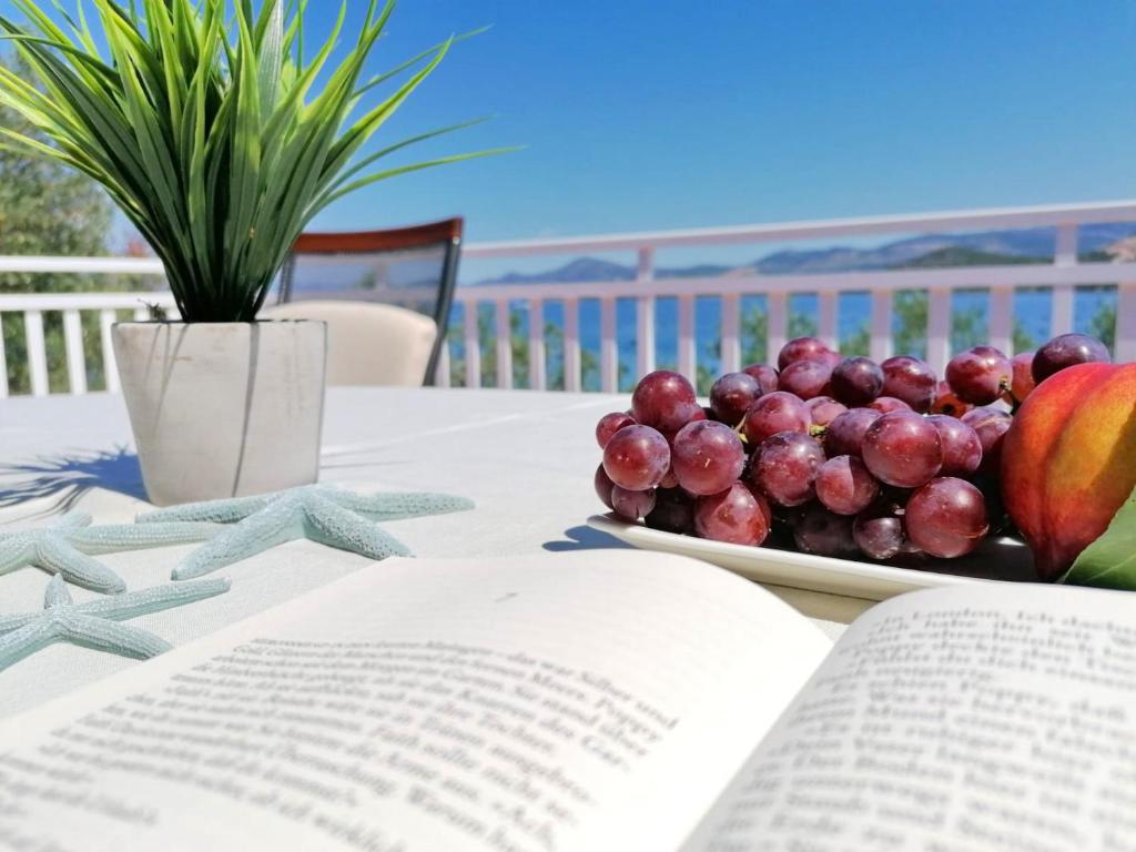 普特尼科维奇Holiday Home Blue Dream的一张桌子上的一盘水果,还有一本书