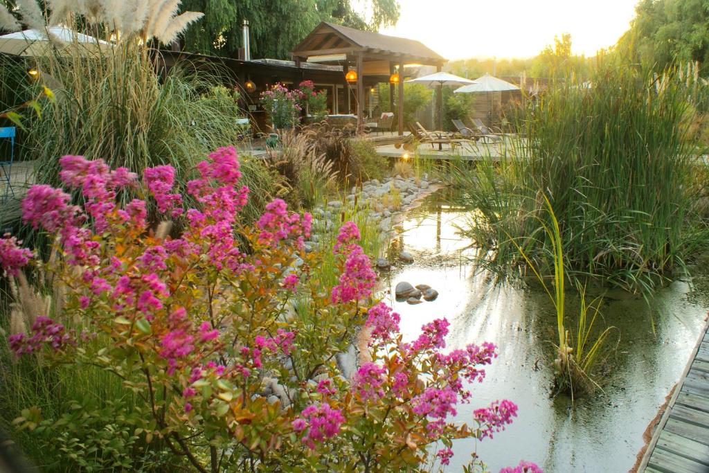 圣克鲁兹巴里卡旅馆 的一座种有粉红色花卉和池塘的花园