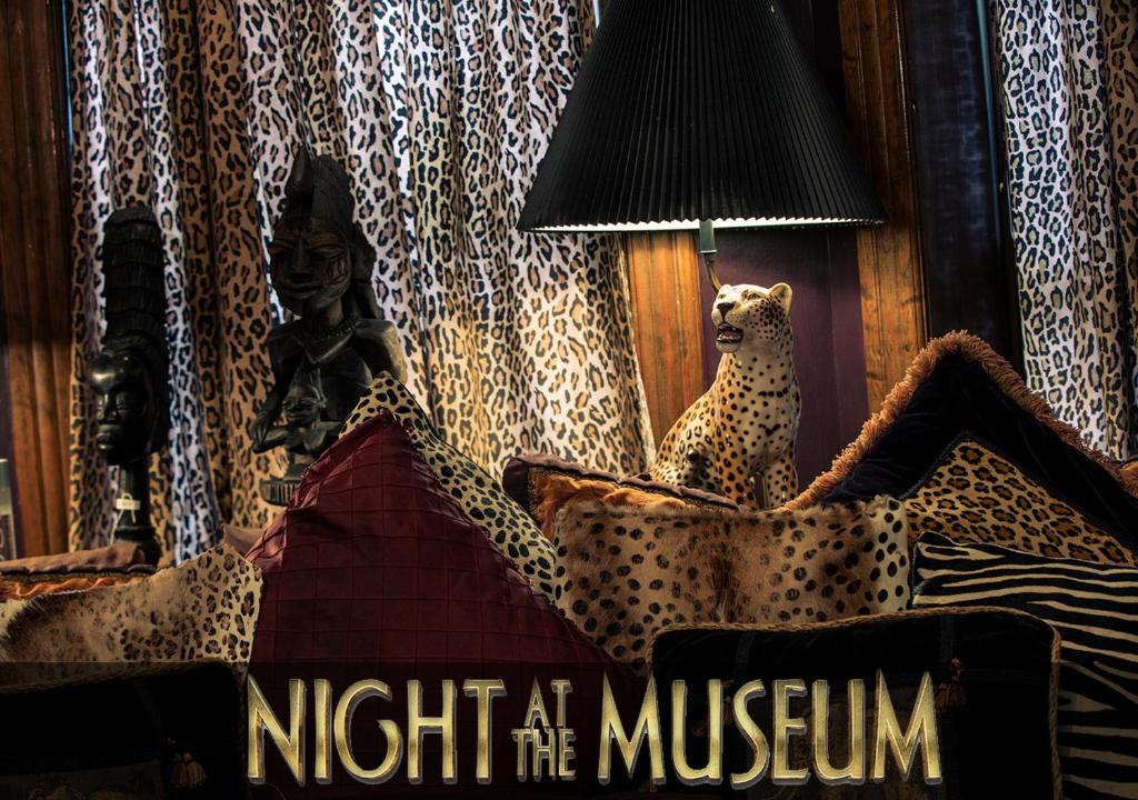 华盛顿邻街大厦酒店的博物馆的夜幕海报,上面有猫和灯