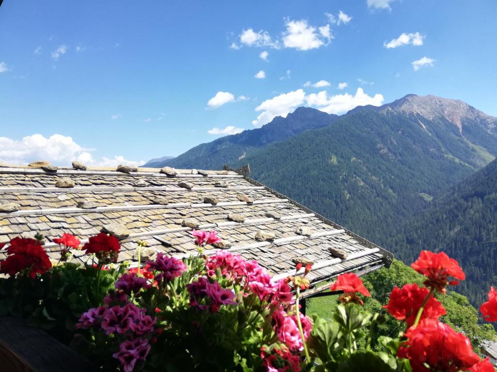 山景或在公寓看到的山景