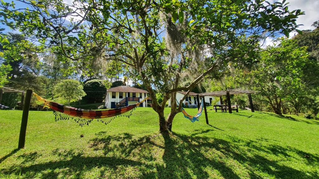 维奥康德马奥Hotel Fazenda Pedra Grande的挂在公园里树上的吊床