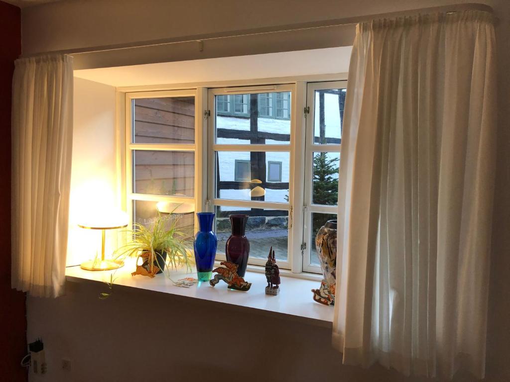 欧登塞Stemningsfuld lejlighed - 3 minutters gang fra H.C. Andersens Hus的窗台上摆着花瓶的窗户